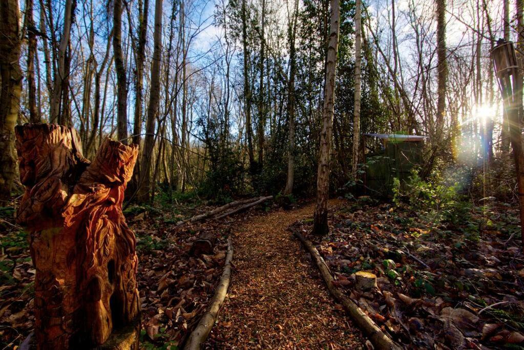 Cosy Woodland Romantic Retreat With Log Fires And Nature Sturry ภายนอก รูปภาพ
