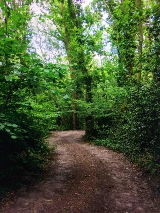 Cosy Woodland Romantic Retreat With Log Fires And Nature Sturry ภายนอก รูปภาพ