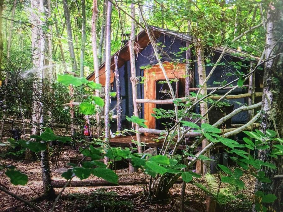 Cosy Woodland Romantic Retreat With Log Fires And Nature Sturry ภายนอก รูปภาพ