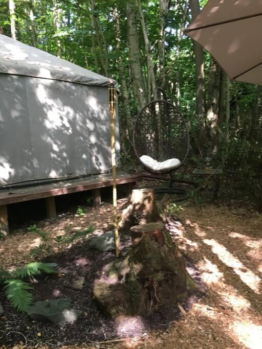 Cosy Woodland Romantic Retreat With Log Fires And Nature Sturry ภายนอก รูปภาพ