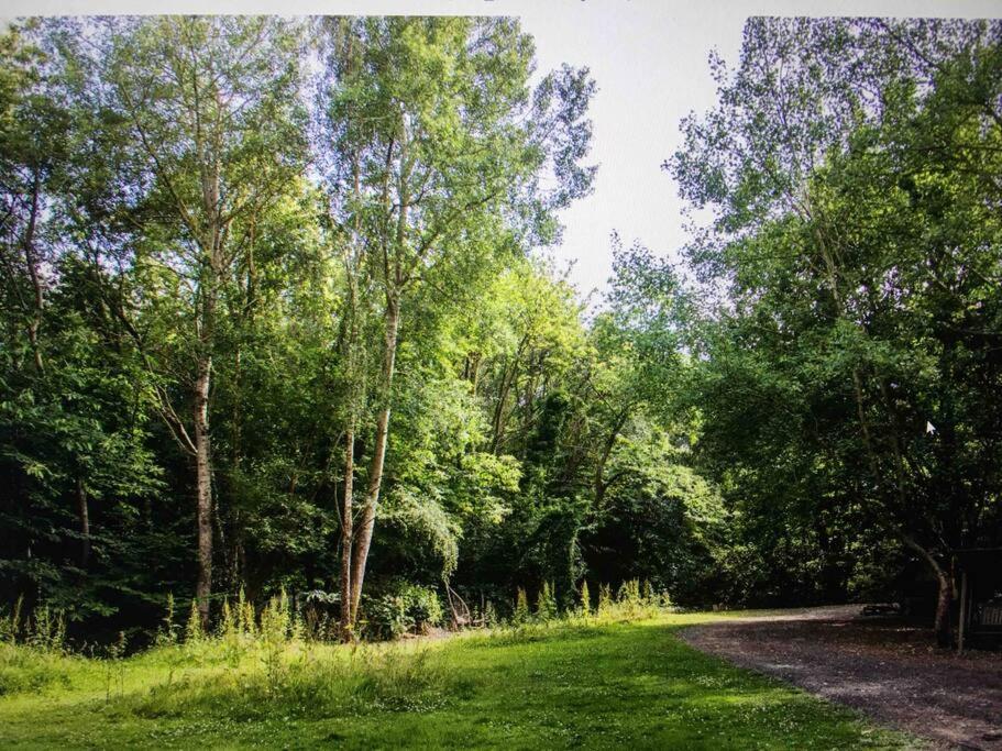 Cosy Woodland Romantic Retreat With Log Fires And Nature Sturry ภายนอก รูปภาพ