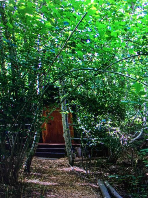 Cosy Woodland Romantic Retreat With Log Fires And Nature Sturry ภายนอก รูปภาพ