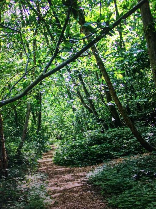 Cosy Woodland Romantic Retreat With Log Fires And Nature Sturry ภายนอก รูปภาพ