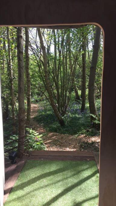 Cosy Woodland Romantic Retreat With Log Fires And Nature Sturry ภายนอก รูปภาพ