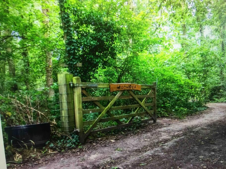 Cosy Woodland Romantic Retreat With Log Fires And Nature Sturry ภายนอก รูปภาพ