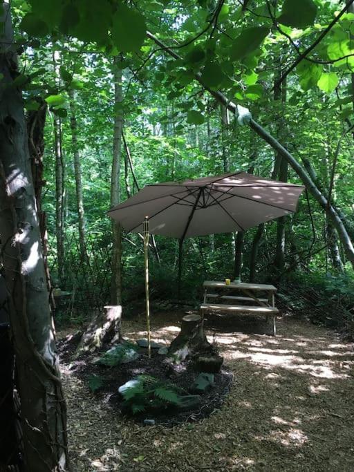 Cosy Woodland Romantic Retreat With Log Fires And Nature Sturry ภายนอก รูปภาพ