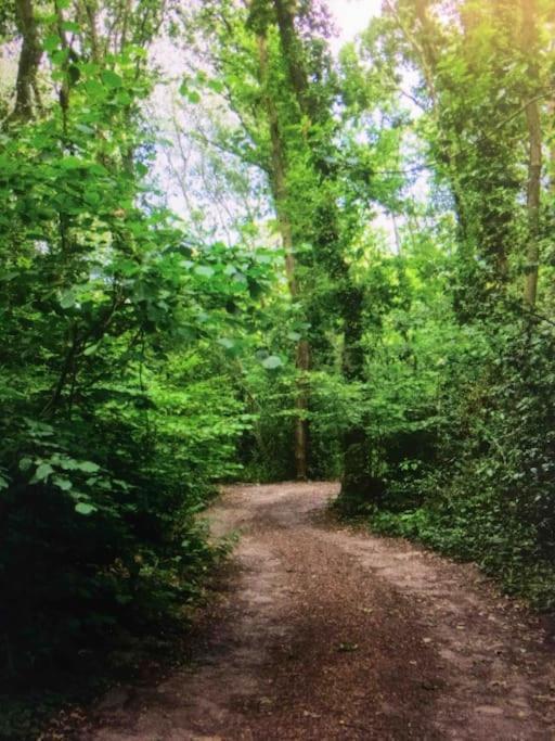 Cosy Woodland Romantic Retreat With Log Fires And Nature Sturry ภายนอก รูปภาพ