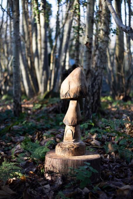 Cosy Woodland Romantic Retreat With Log Fires And Nature Sturry ภายนอก รูปภาพ