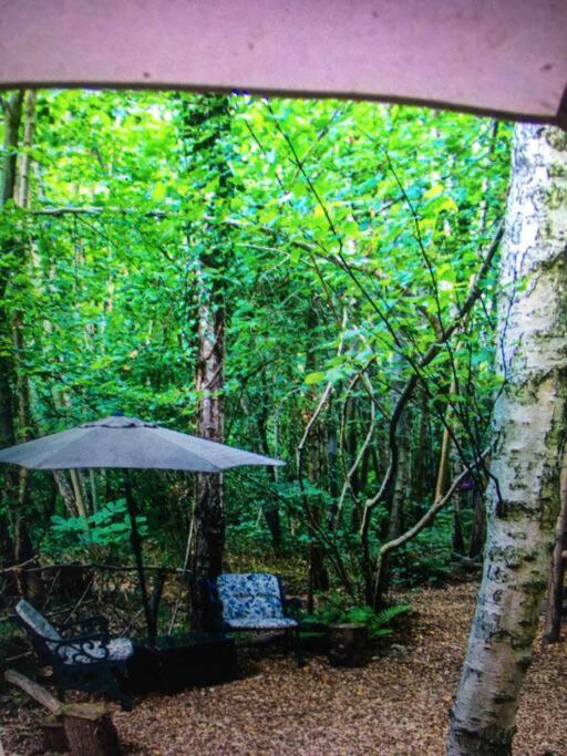 Cosy Woodland Romantic Retreat With Log Fires And Nature Sturry ภายนอก รูปภาพ