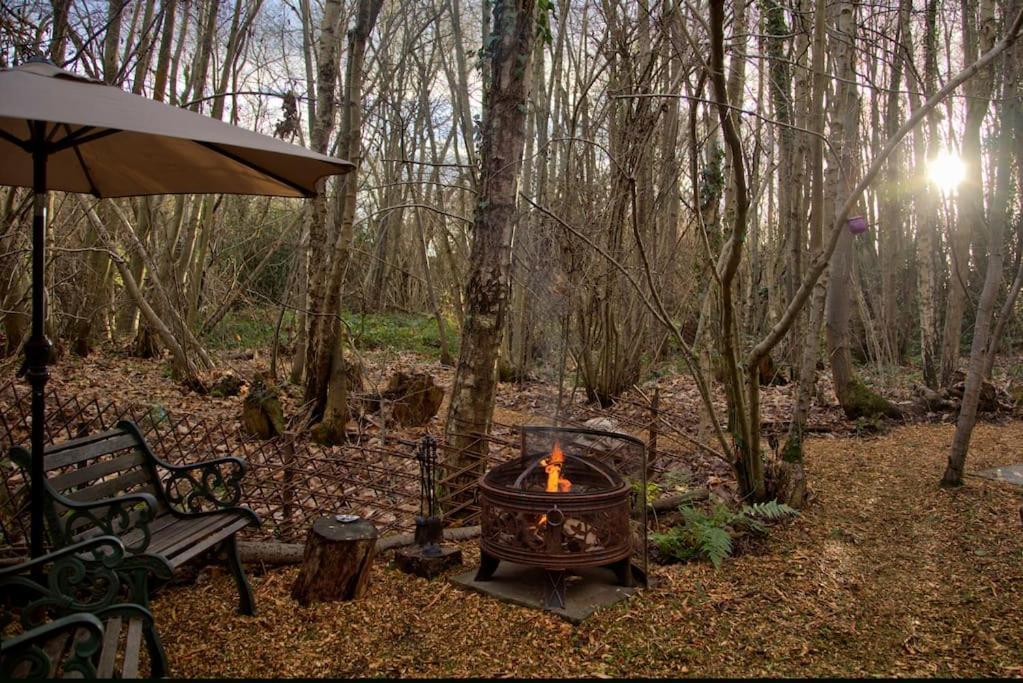 Cosy Woodland Romantic Retreat With Log Fires And Nature Sturry ภายนอก รูปภาพ