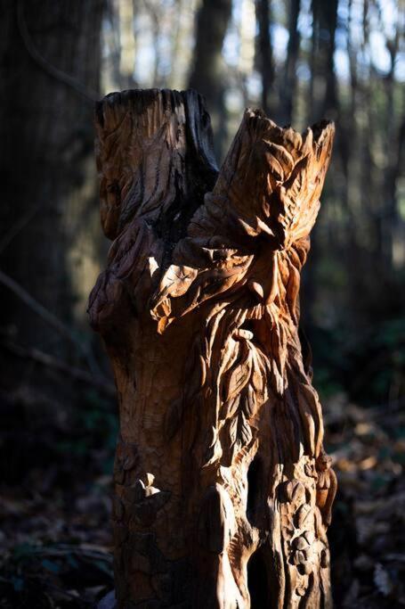 Cosy Woodland Romantic Retreat With Log Fires And Nature Sturry ภายนอก รูปภาพ